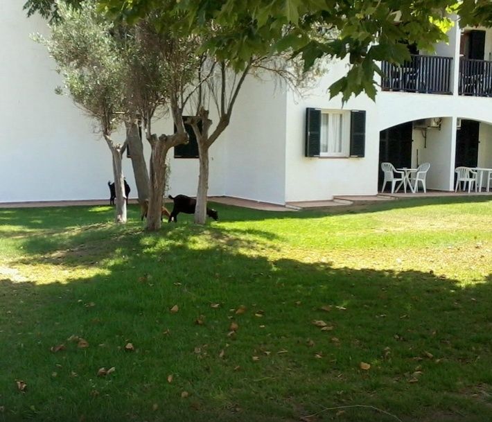 Seth Sa Mirada Aparthotel Arenal d'en Castell Kültér fotó